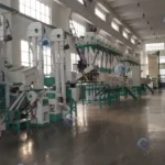 raw rice mill plant manufacturer