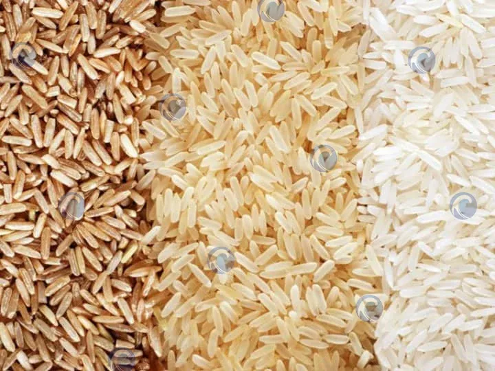 processed rice products
