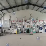 Opción 4: planta moderna de molino de arroz