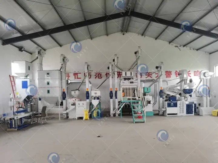 Opción 4: planta moderna de molino de arroz