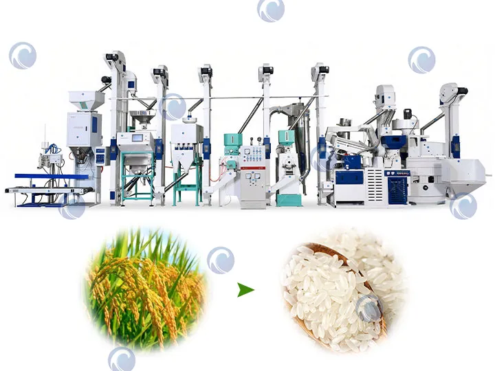 Equipo de procesamiento de arroz de 25TPD | Soluciones completas para molinos de arroz