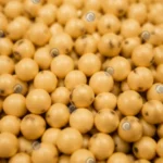 soybeans