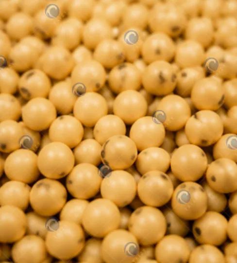 soybeans