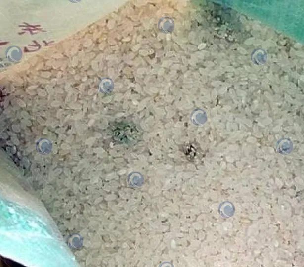 mold-affected grains