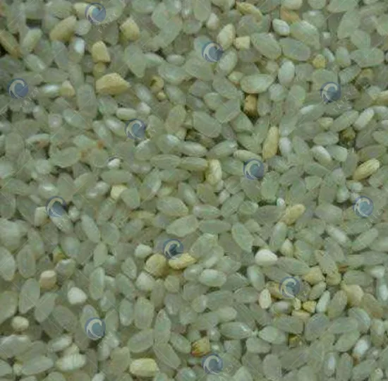 moldy rice