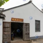 paddy rice processing factory