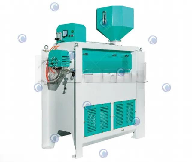 water polisher